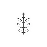 Fragancias naturales